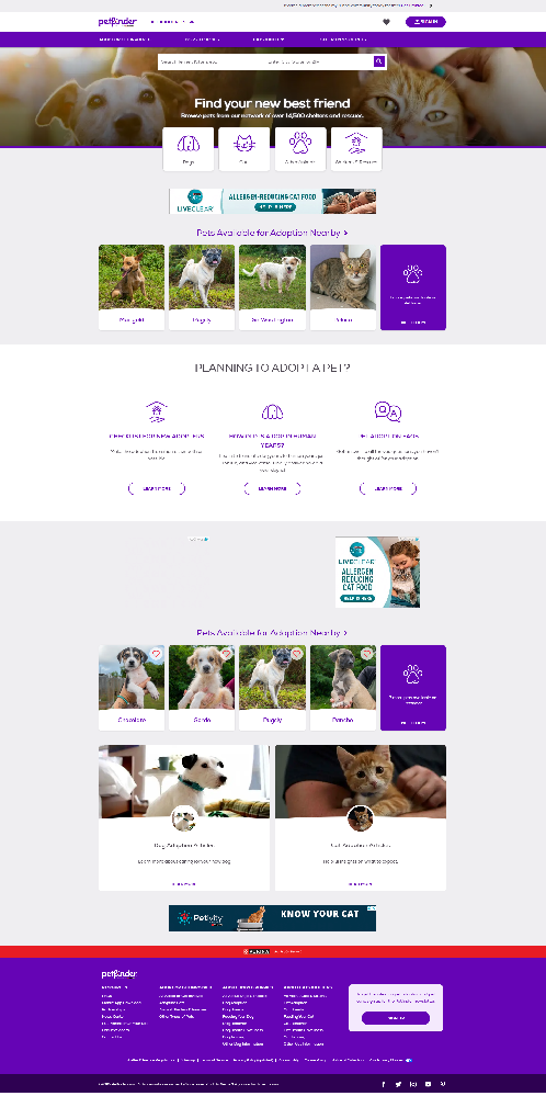 宠物网站建设.png